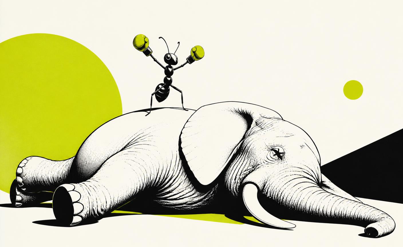 Ant boxing an elephant illustration — small agency, big impact