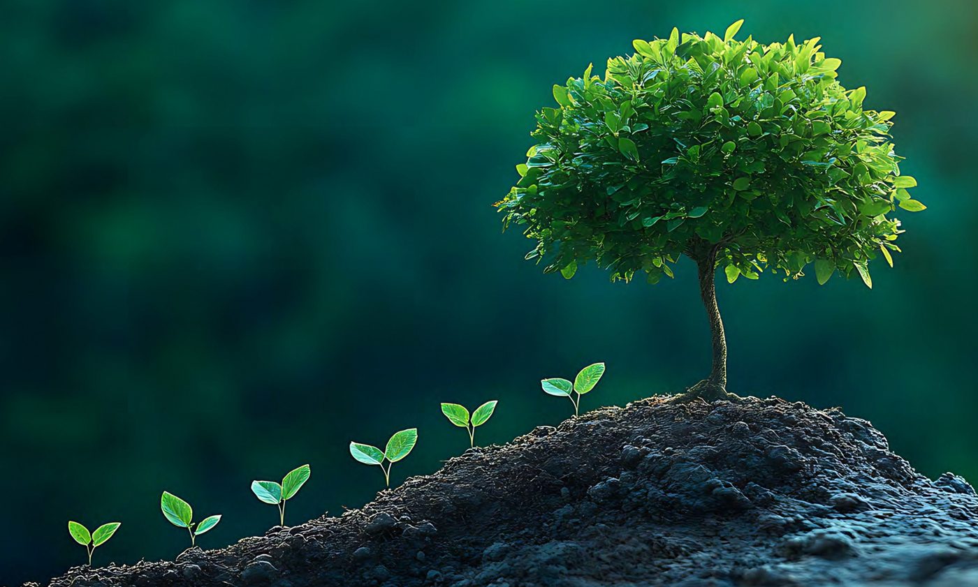 A young tree growing from soil, symbolising sustainable exhibition design